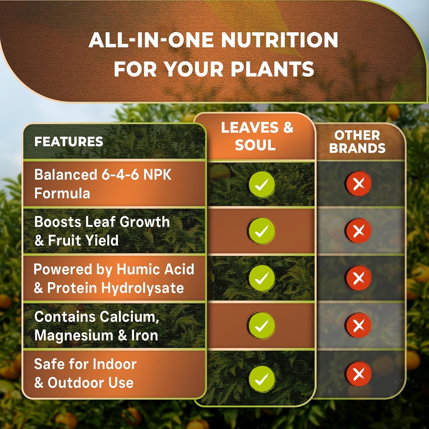 Leaves and Soul Professional Citrus Tree Fertilizer Liquid Concentrate - 6-4-6 Blend for Fruit Tree Fertilizer, Garden - Liquid Plant Food for Citrus Trees in Pots or Outdoors