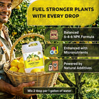 Leaves and Soul Professional Lemon Tree Fertilizer Liquid Concentrate - 6-4-6 Blend for Fruit Tree Fertilizer, Garden - Liquid Plant Food for Lemon Trees in Pots or Outdoors