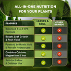 Leaves and Soul Professional Arbor Vitae Tree Fertilizer Liquid Concentrate - 6-4-6 Blend for Arbor Vitae, Garden Use - Liquid Plant Food for Arbor Vitae Trees and Shrubs Outdoors