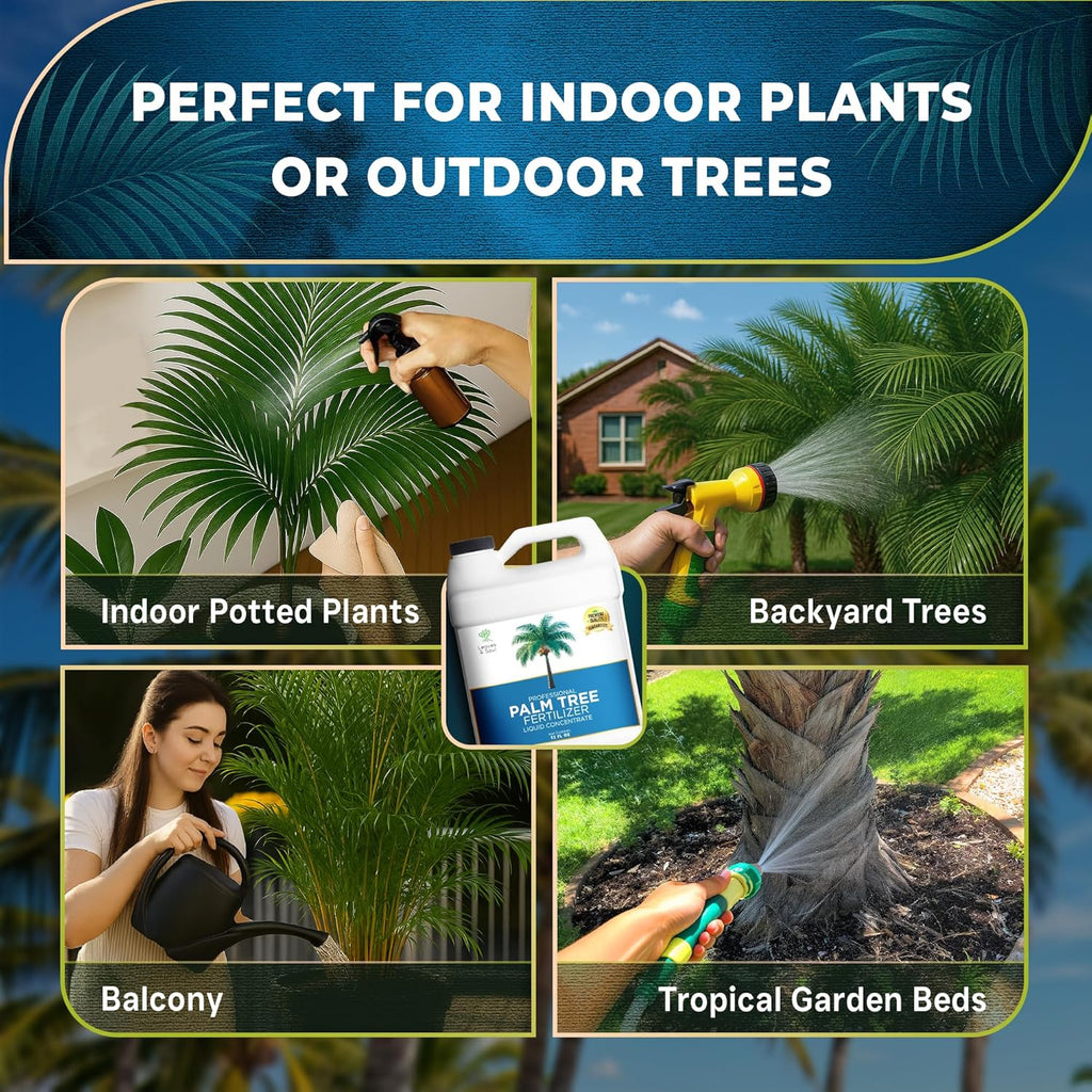 Leaves and Soul Professional Palm Tree Fertilizer Liquid Concentrate - 6-4-6 Blend for Tropical Plant Fertilizer, Garden Use - Liquid Plant Food for Palm Trees and Bushes Outdoors
