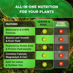 Leaves and Soul Professional Pine Tree Fertilizer Liquid Concentrate - 6-4-6 Blend for Pine, Garden Use - Liquid Plant Food for Pine Trees and Shrubs Outdoors