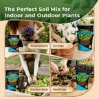 Professional Peat Moss for Container and Garden Plants