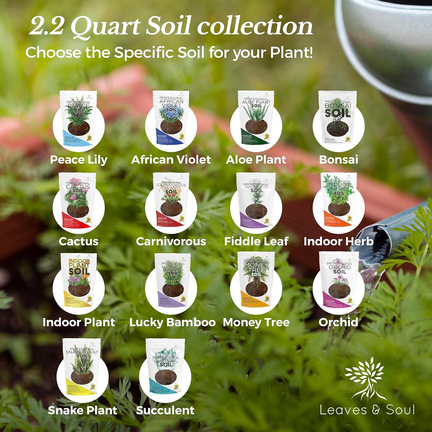 Premium Succulent Soil All Purpose Blend | Pre-mixed 2.2 and 8.2 Dry Quarts