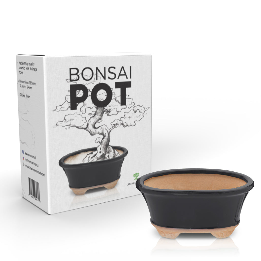 Glazed Ceramic Bonsai Pot | Decorative Planter for Dwarf Trees, Succulents, Small Plants | Small Container for Indoor and Outdoor Gardens, Table Centerpieces and Windowsill Décor | Black Oval
