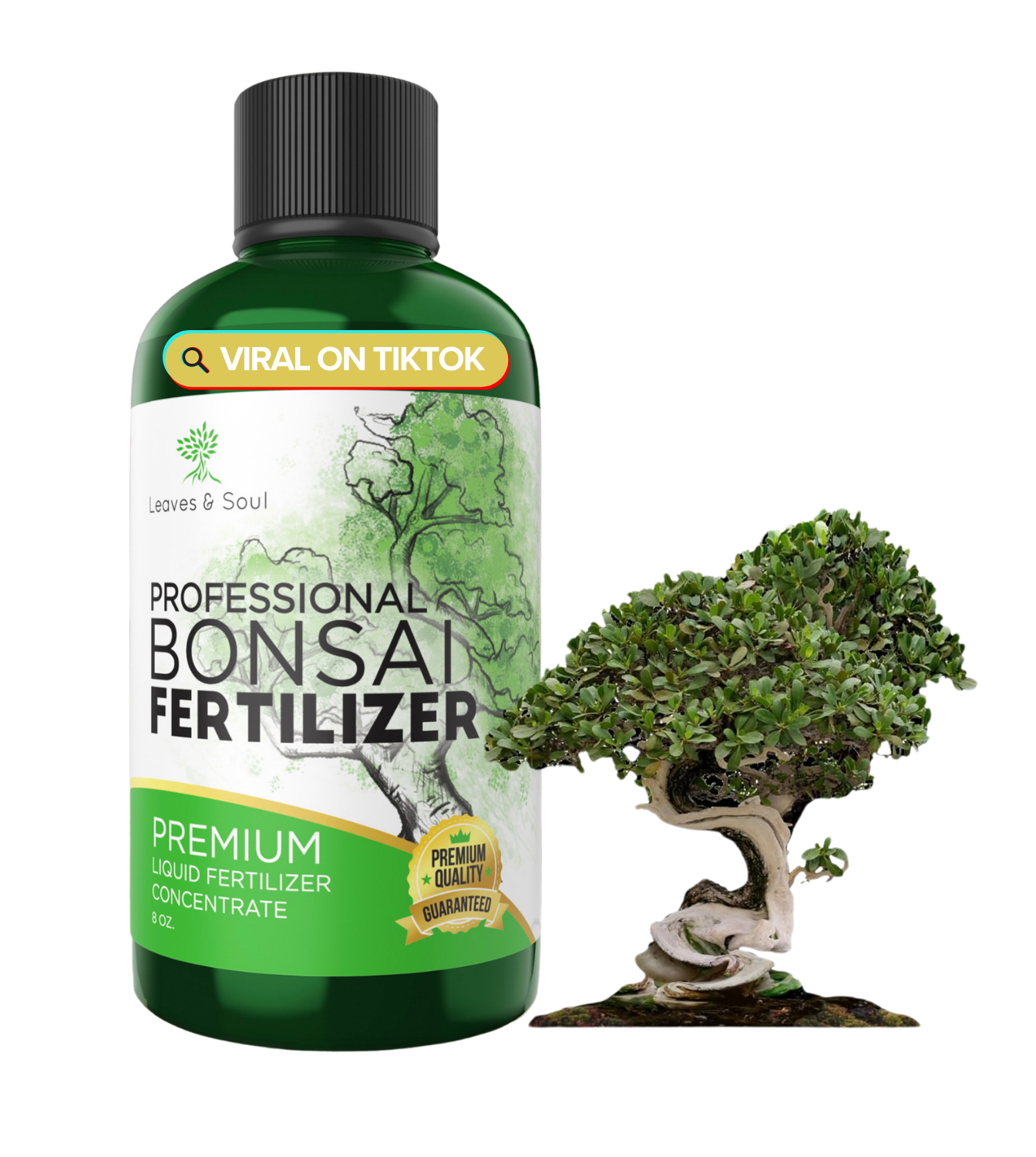 Professional Liquid Bonsai Plant Fertilizer – Leaves and Soul