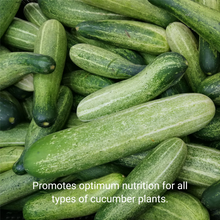 Load image into Gallery viewer, Professional Liquid Cucumber Fertilizer | 5-1-5 Concentrate, Liquid Plant Fertilizer for Garden, Healthy Produce, Good Harvest, Multi-Purpose Blend &amp; Gardening Supplies | 8 oz
