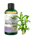 Professional Liquid Dracaena Plant Fertilizer | 3-1-2 Concentrate for Indoor Dracaena |8 oz Bottle