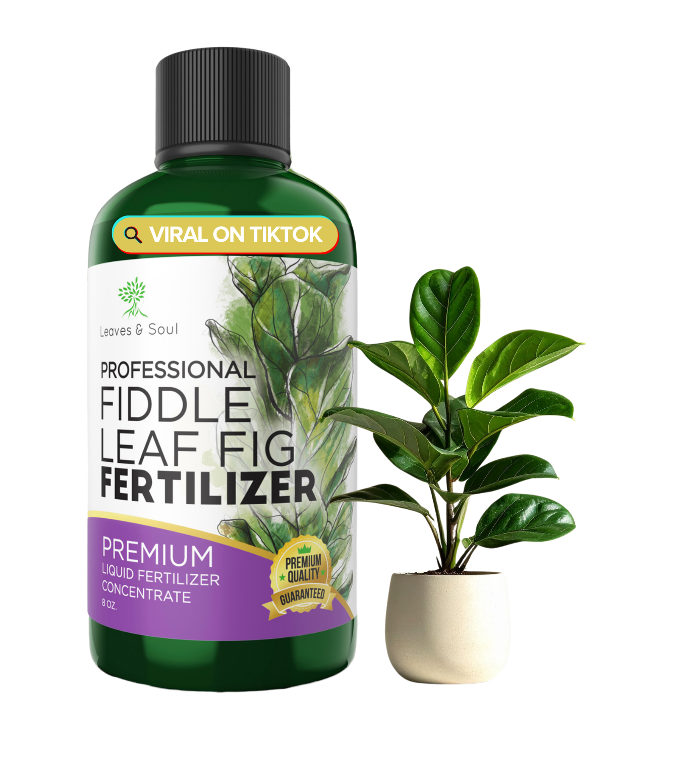 best fertilizer for fiddle leaf fig tree Professional Liquid Fiddle Leaf Fig Plant Fertilizer