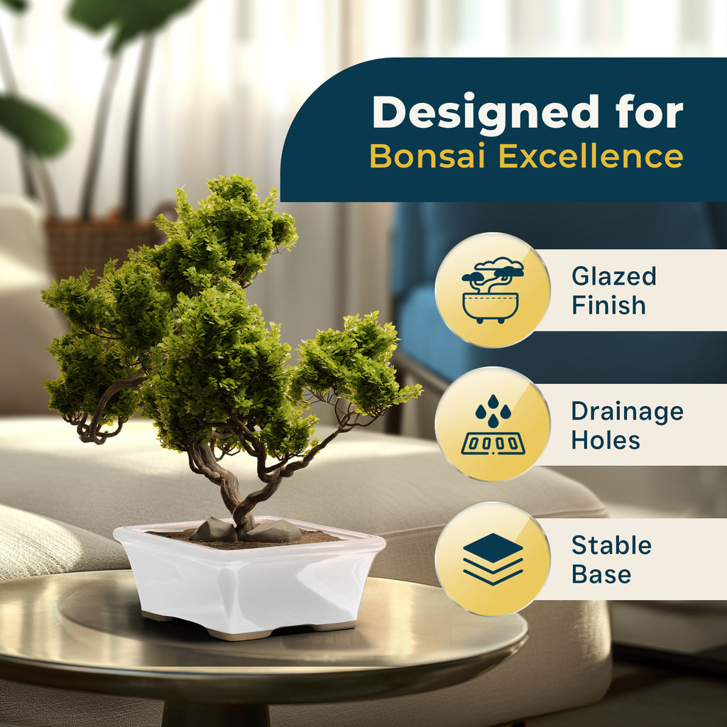 Glazed Ceramic Bonsai Pot | White Rectangular