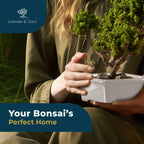 Glazed Ceramic Bonsai Pot | White Rectangular