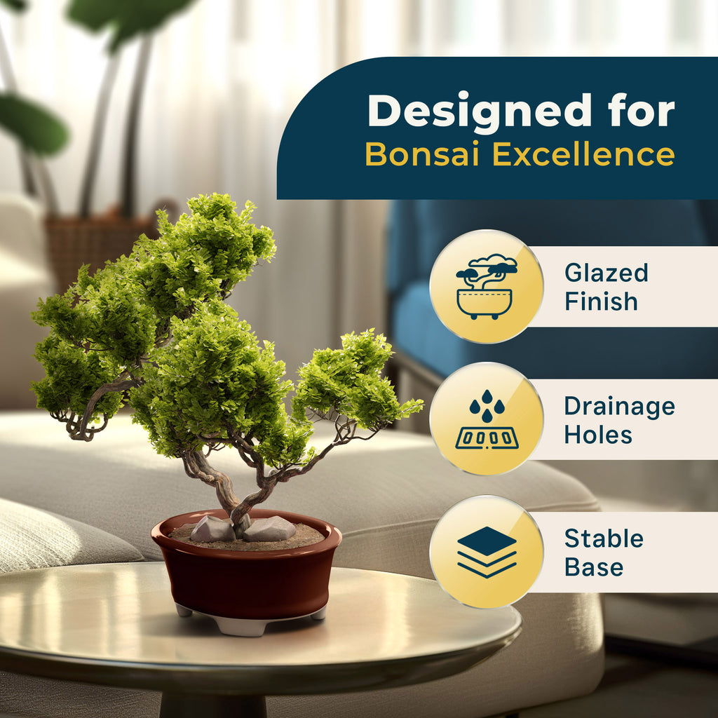 Glazed Ceramic Bonsai Pot | Dark Red