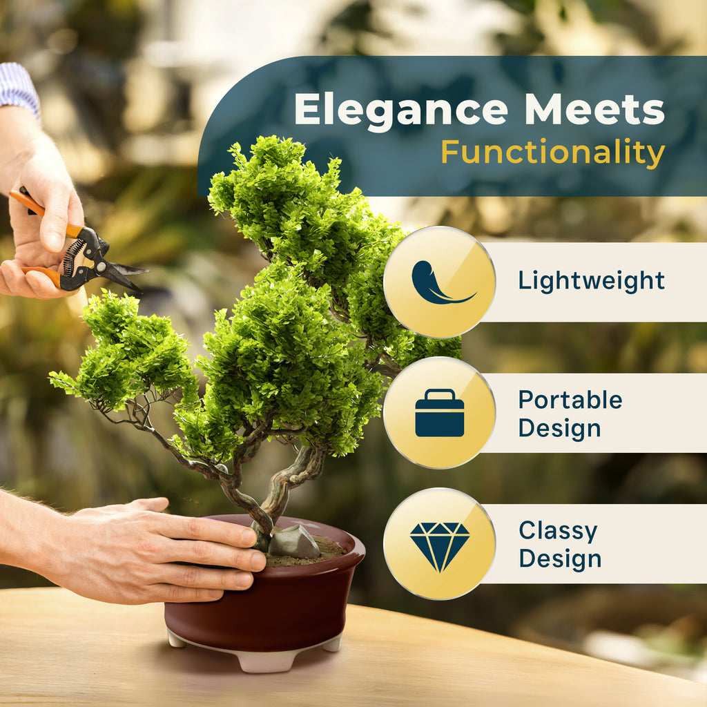 Glazed Ceramic Bonsai Pot | Dark Red