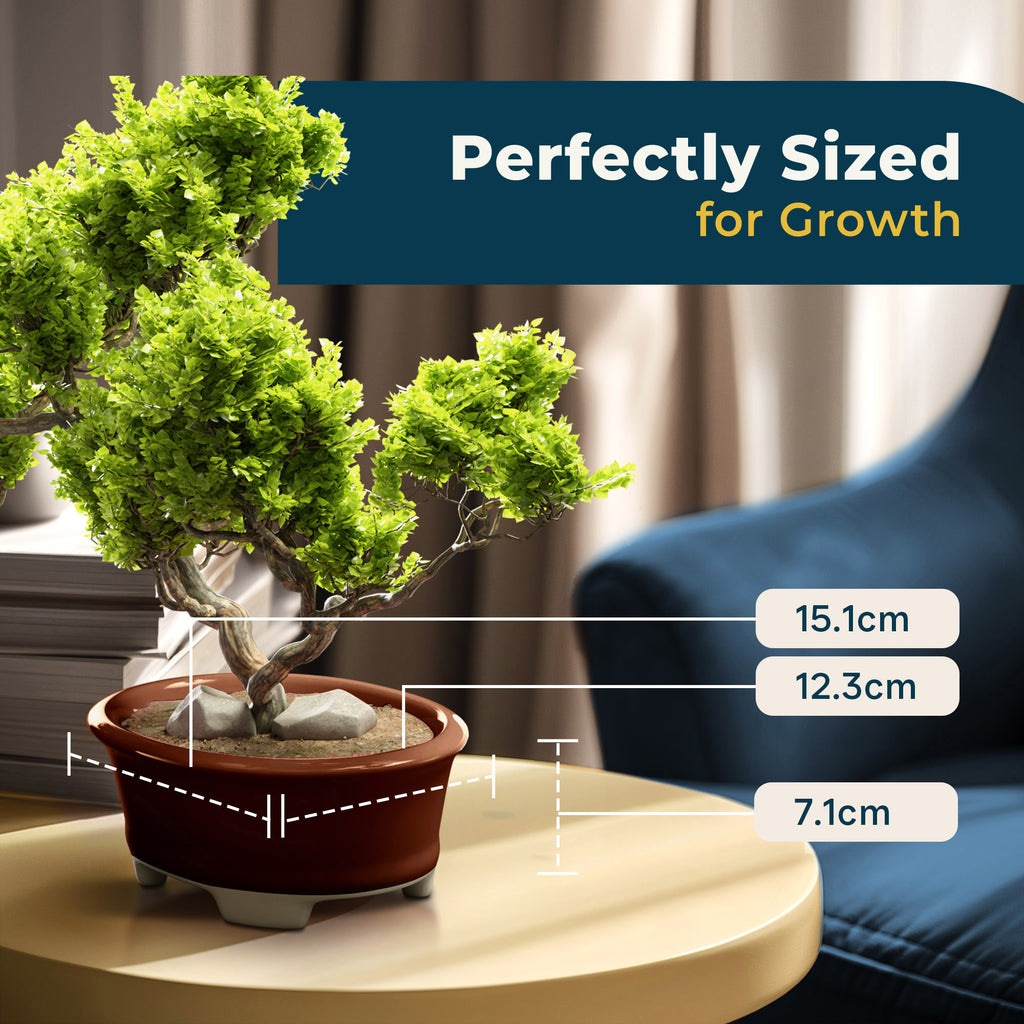 Glazed Ceramic Bonsai Pot | Dark Red