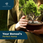 Glazed Ceramic Bonsai Pot | Dark Red