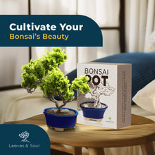 Load image into Gallery viewer, Glazed Ceramic Bonsai Pot - Decorative Planter for Dwarf Trees, Succulents, Small Plants - Blue Oval Container Perfect for Indoor and Outdoor Gardens, Table Centerpieces and Windowsill Décor
