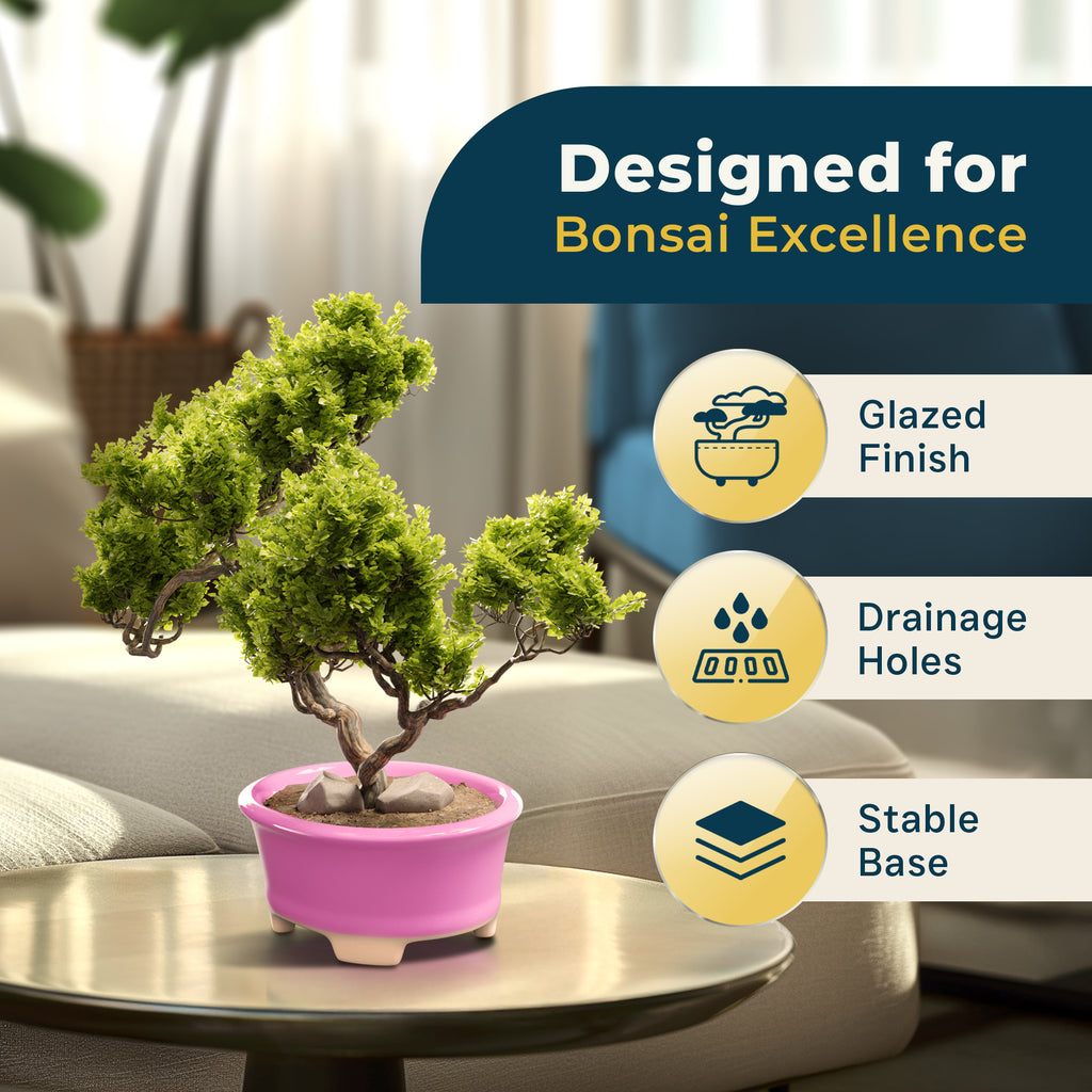 Glazed Ceramic Bonsai Pot | Pink Oval