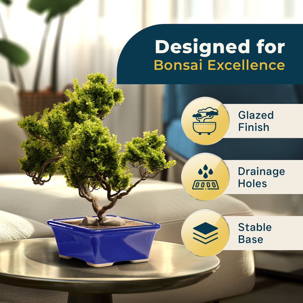 Glazed Ceramic Bonsai Pot | Blue Rectangle