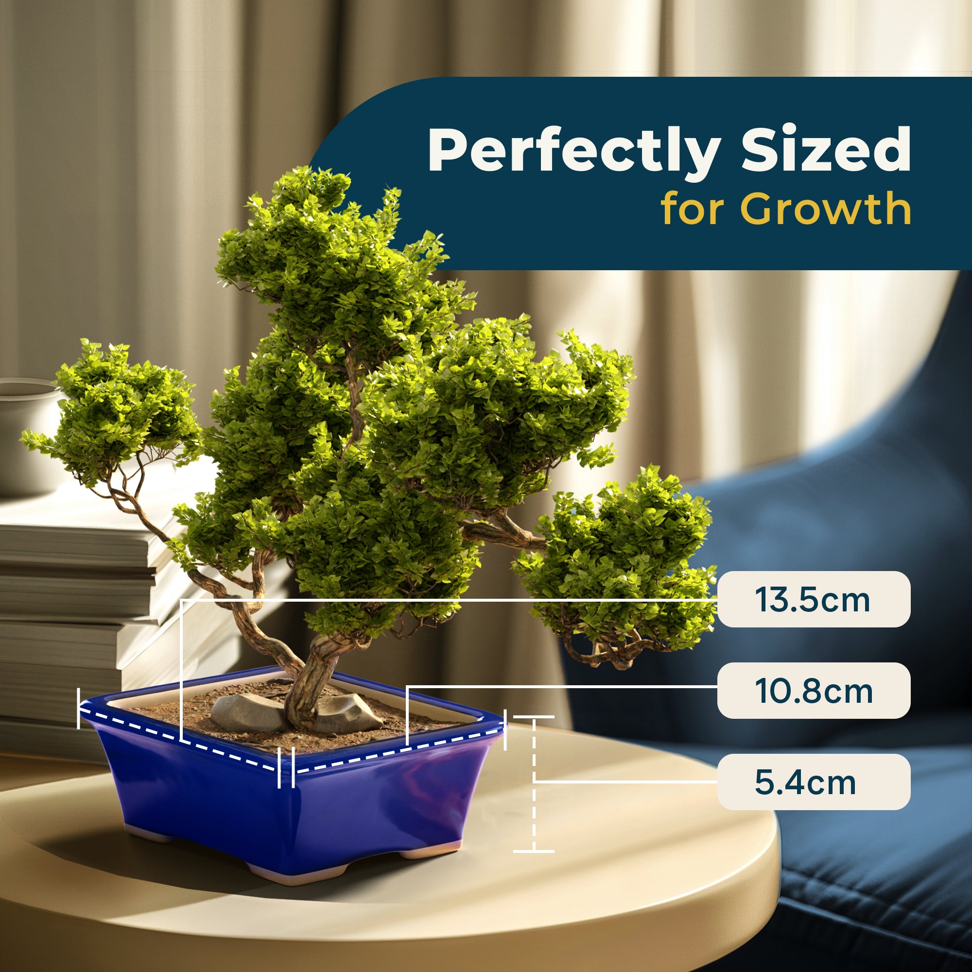 Glazed Ceramic Bonsai Pot | Blue Rectangle