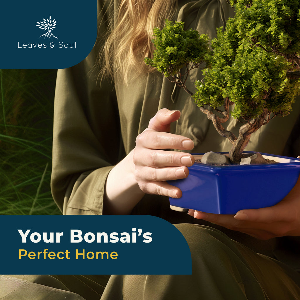 Glazed Ceramic Bonsai Pot | Blue Rectangle