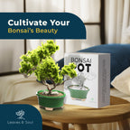 Glazed Ceramic Bonsai Pot | Green Oval