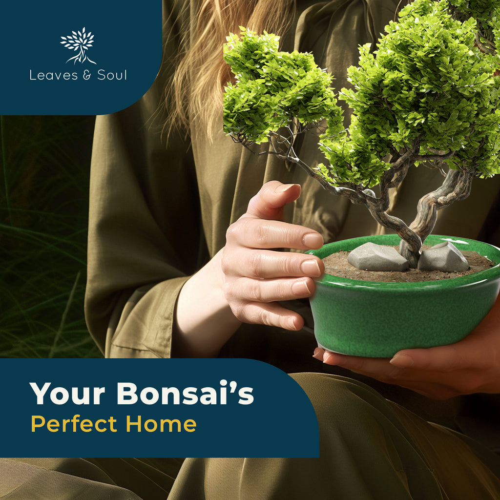 Glazed Ceramic Bonsai Pot | Green Oval