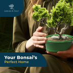 Glazed Ceramic Bonsai Pot | Green Oval