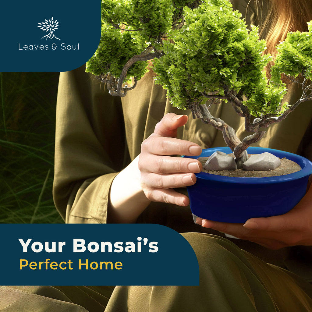 Glazed Ceramic Bonsai Pot - Decorative Planter for Dwarf Trees, Succulents, Small Plants - Blue Oval Container Perfect for Indoor and Outdoor Gardens, Table Centerpieces and Windowsill Décor
