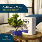 Glazed Ceramic Bonsai Pot | Blue Rectangle