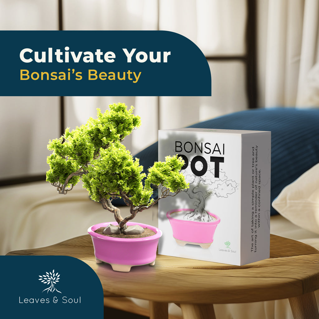 Glazed Ceramic Bonsai Pot | Pink Oval