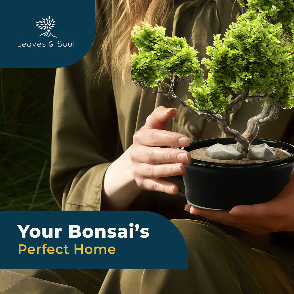 Glazed Ceramic Bonsai Pot | Decorative Planter for Dwarf Trees, Succulents, Small Plants | Small Container for Indoor and Outdoor Gardens, Table Centerpieces and Windowsill Décor | Black Oval