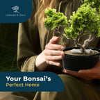 Glazed Ceramic Bonsai Pot | Decorative Planter for Dwarf Trees, Succulents, Small Plants | Small Container for Indoor and Outdoor Gardens, Table Centerpieces and Windowsill Décor | Black Oval