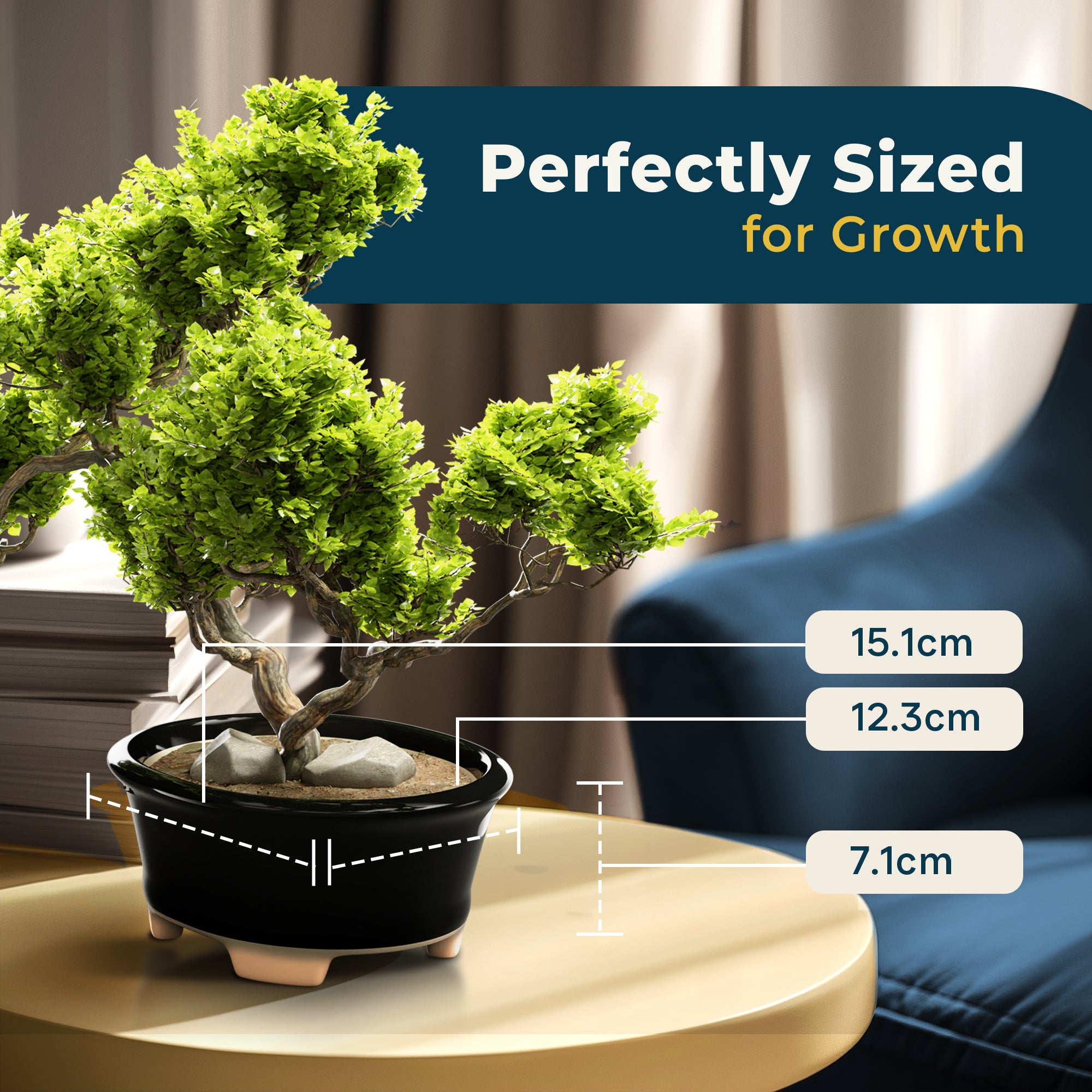 Glazed Ceramic Bonsai Pot | Decorative Planter for Dwarf Trees, Succulents, Small Plants | Small Container for Indoor and Outdoor Gardens, Table Centerpieces and Windowsill Décor | Black Oval