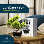 Glazed Ceramic Bonsai Pot | Decorative Planter for Dwarf Trees, Succulents, Small Plants | Small Container for Indoor and Outdoor Gardens, Table Centerpieces and Windowsill Décor | Black Oval