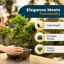 Load image into Gallery viewer, Glazed Ceramic Bonsai Pot - Ceramic Planter for Succulents and Small Plants - Black Rectangular Pot Perfect for Indoor and Outdoor Gardens, Tables and Decor
