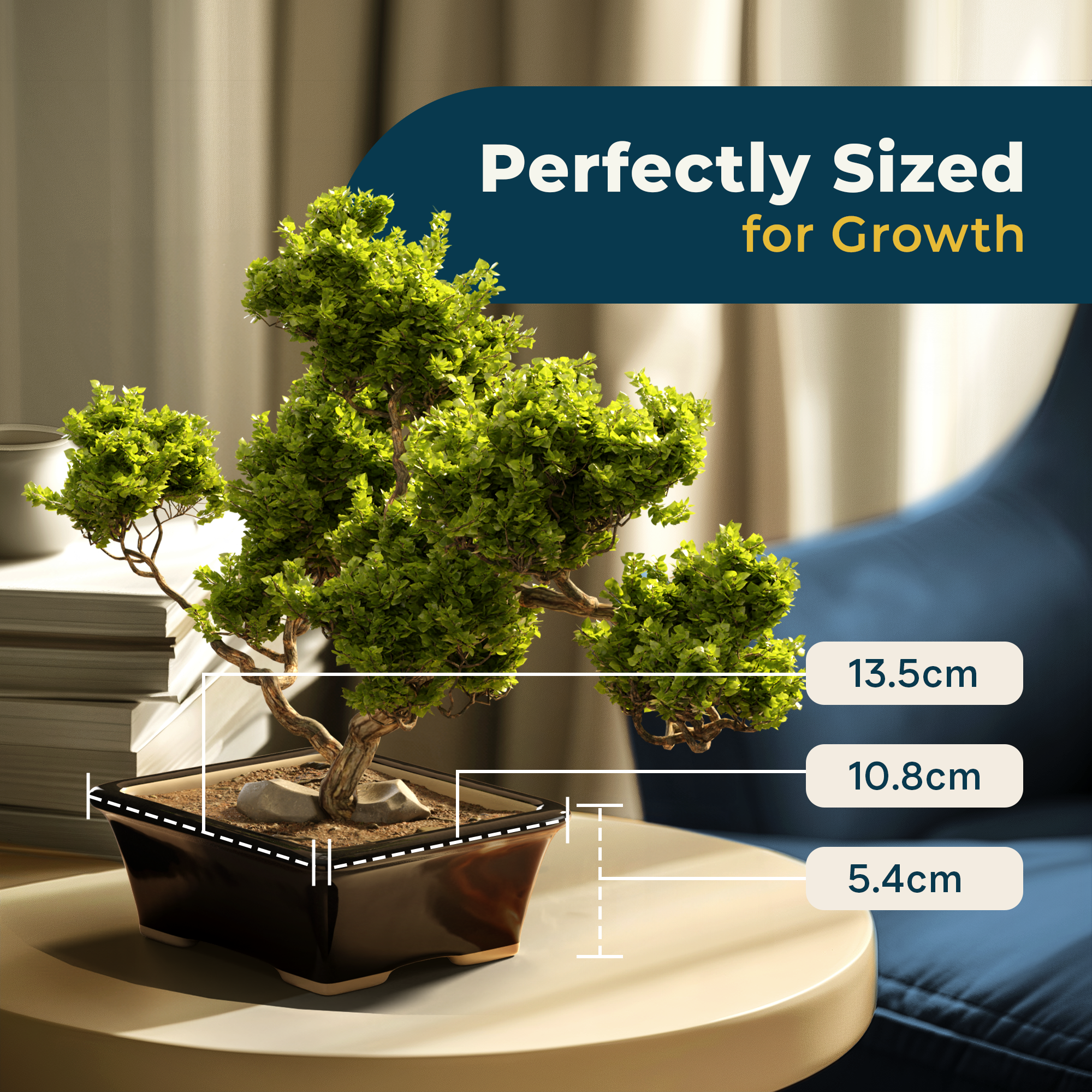 Glazed Ceramic Bonsai Pot - Ceramic Planter for Succulents and Small Plants - Black Rectangular Pot Perfect for Indoor and Outdoor Gardens, Tables and Decor