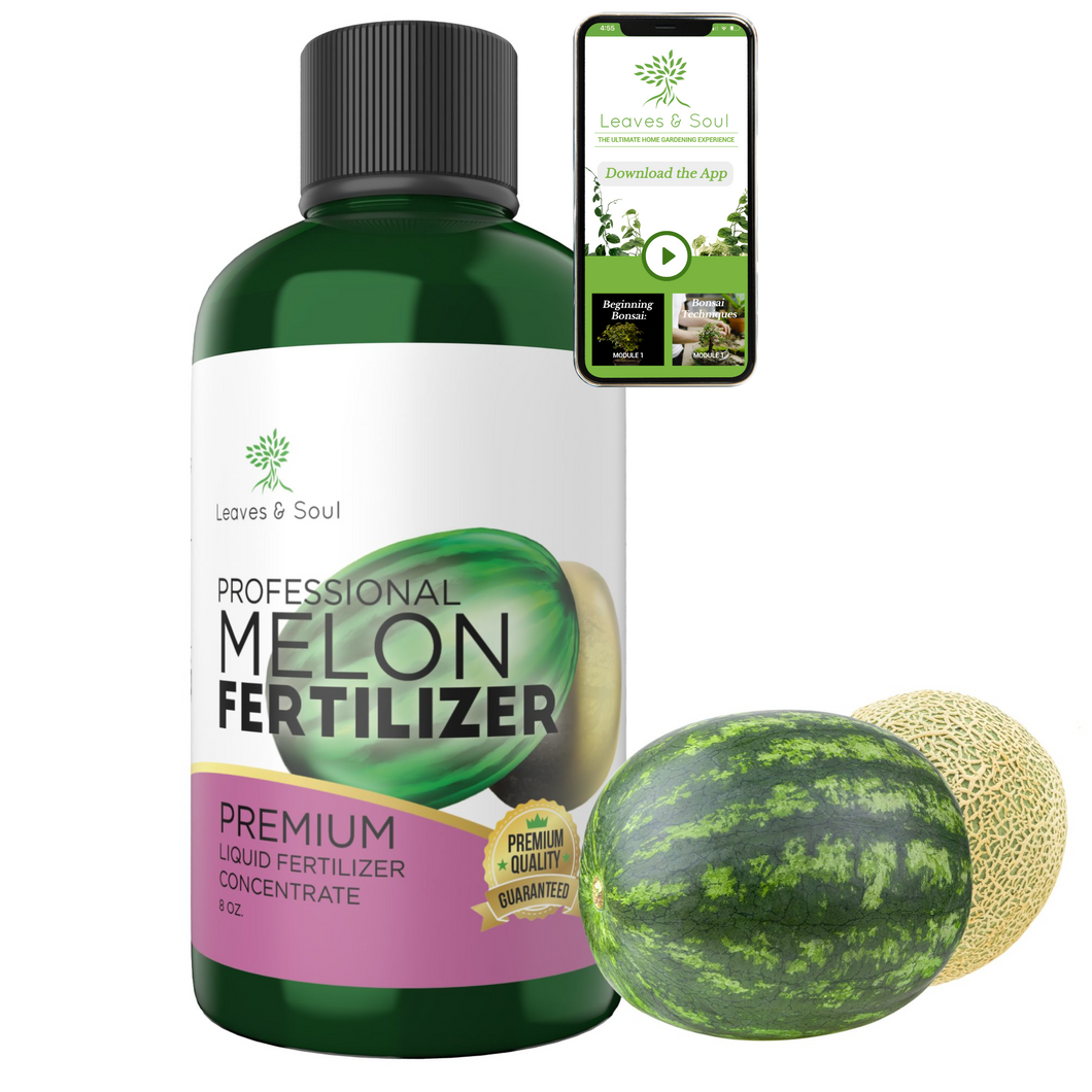 Professional Liquid Melon Fertilizer | 5-1-5 Concentrate, Liquid Plant Fertilizer for Garden, Healthy Produce, Good Harvest, Multi-Purpose Blend & Gardening Supplies | 8 oz