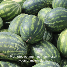 Load image into Gallery viewer, Professional Liquid Melon Fertilizer | 5-1-5 Concentrate, Liquid Plant Fertilizer for Garden, Healthy Produce, Good Harvest, Multi-Purpose Blend &amp; Gardening Supplies | 8 oz
