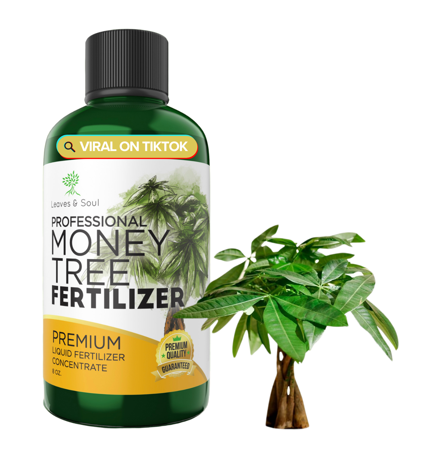 money tree fertilizer requirements Professional Liquid Money Tree Fertilizer