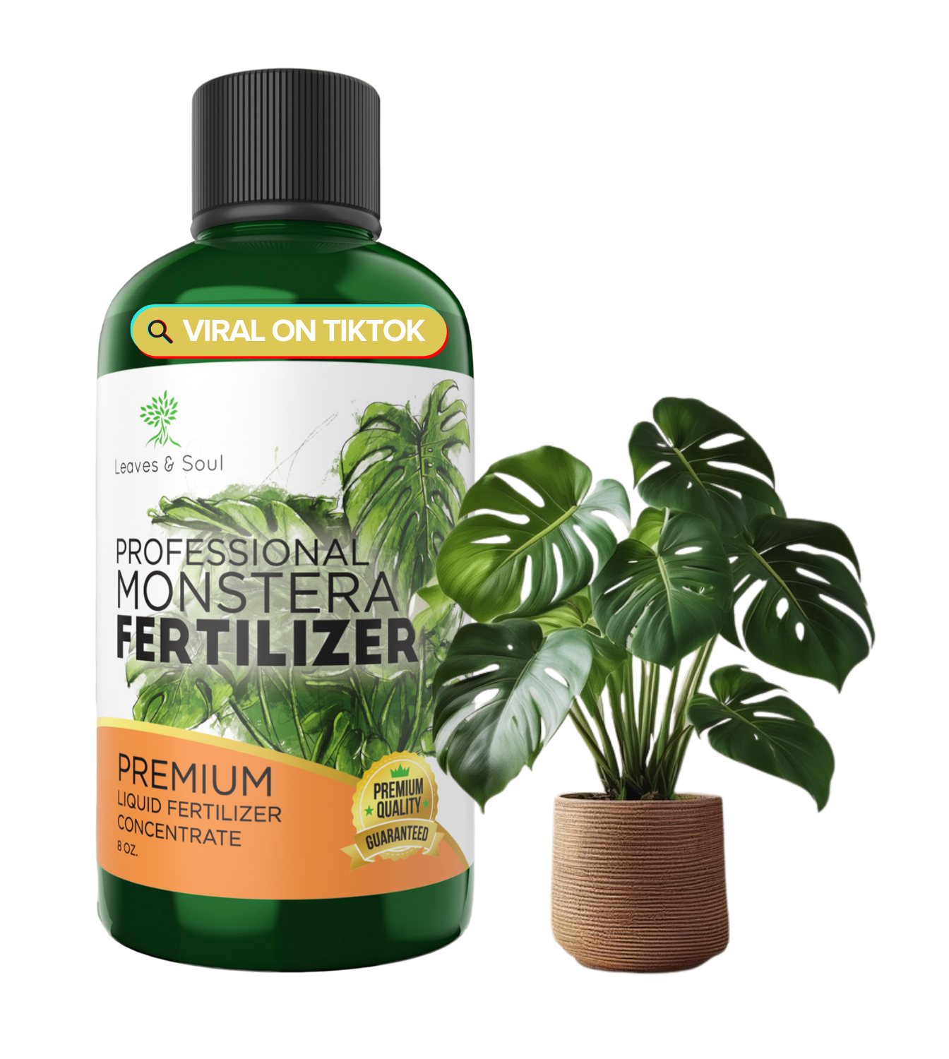 fertilizing monstera deliciosa Professional Monstera Plant Fertilizer