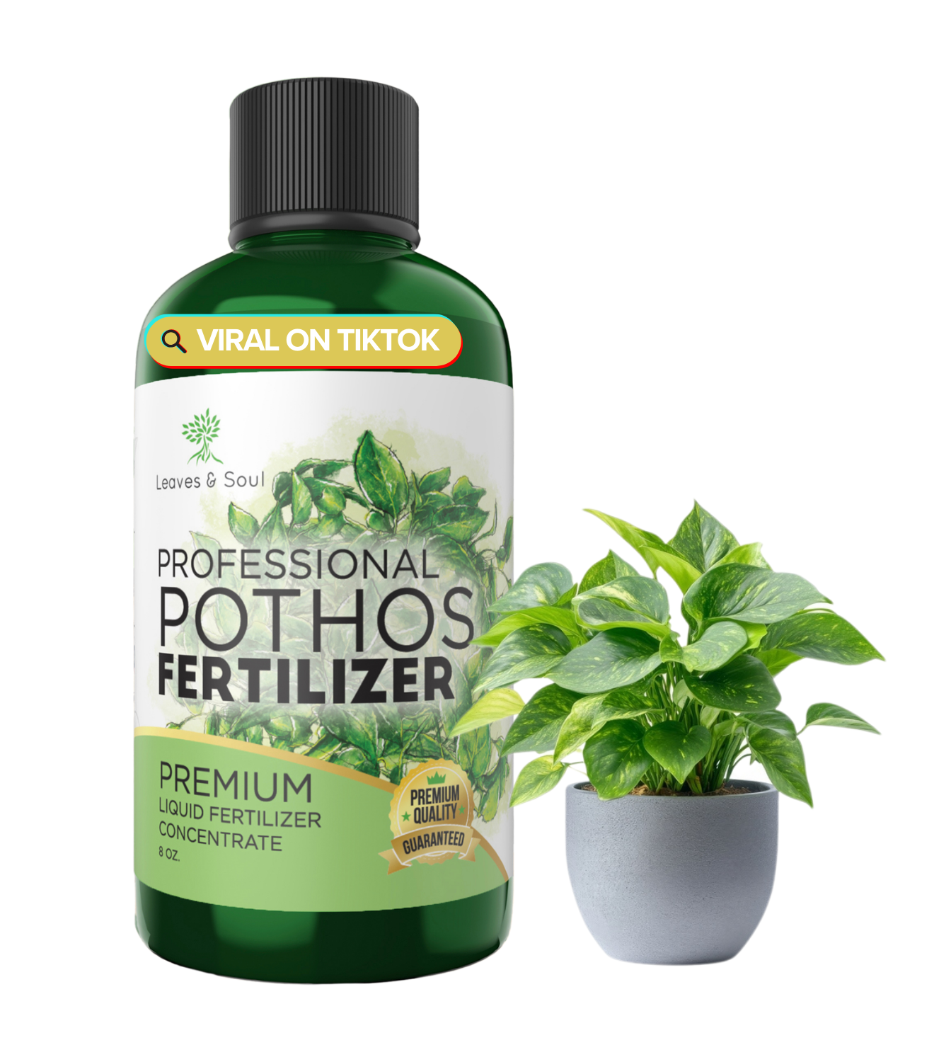 Professional Liquid Pothos Plant Fertilizer | 3-1-2 Concentrate for Epipremnums and Houseplants | 8 oz Bottle