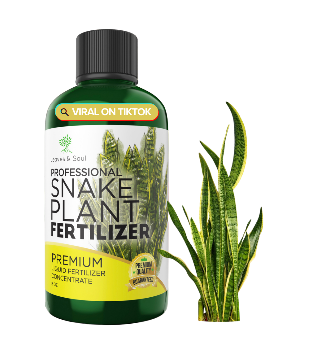 best fertilizer for snake plant Professional Liquid Snake Plant Fertilizer – Leaves and Soul