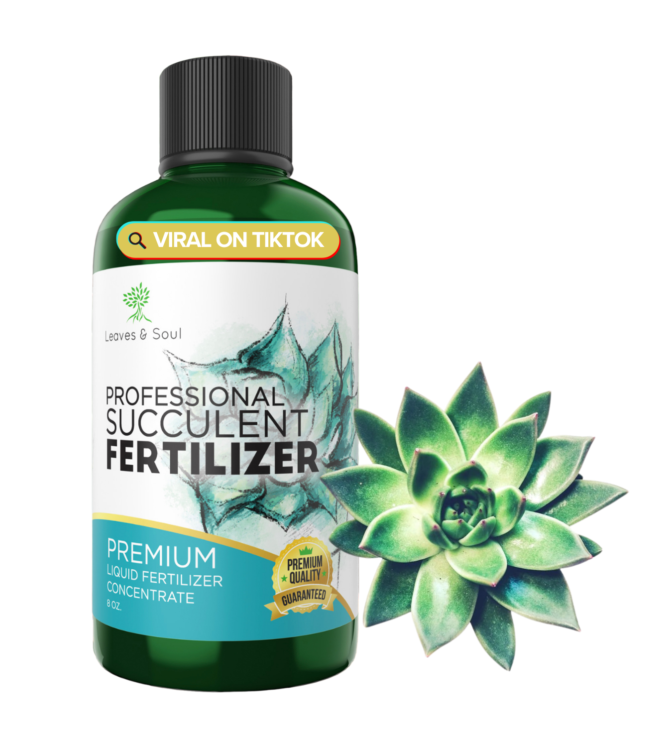 Professional Liquid Succulent Plant Fertilizer