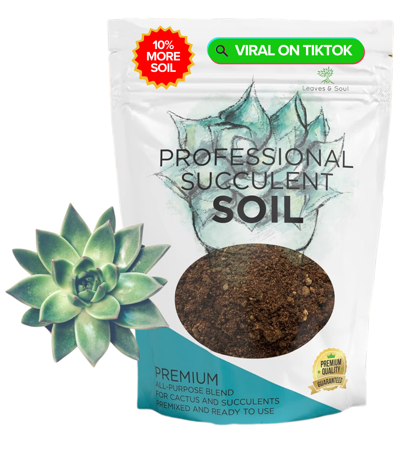 Premium Succulent Soil All Purpose Blend | Pre-mixed 2.2 and 8.2 Dry Quarts