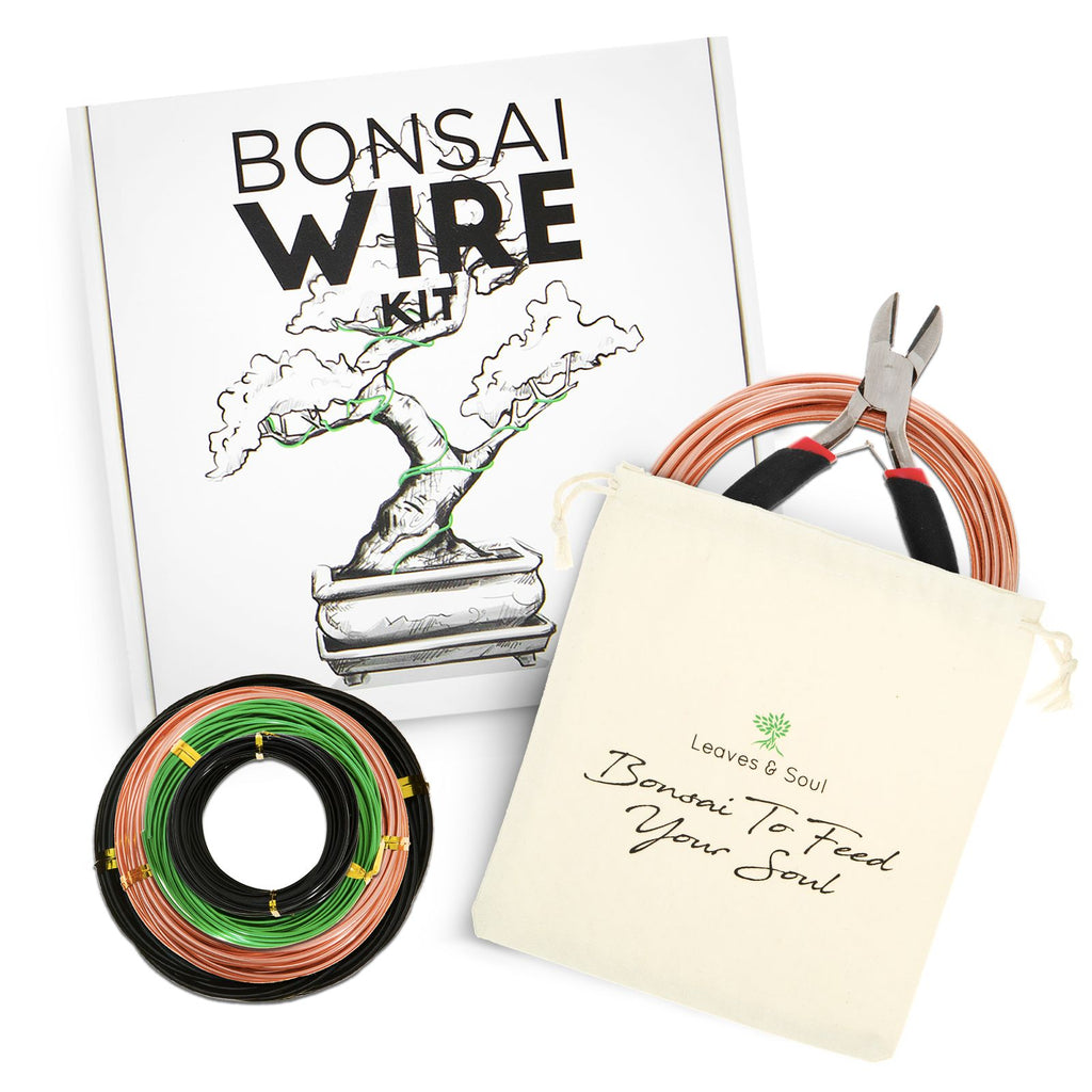 Complete Bonsai Set | GREEN - Soil, Fertilizer, Green Pot and Wire Kit