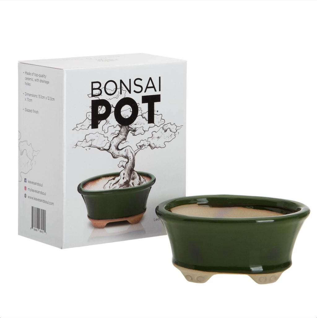Complete Bonsai Set | GREEN - Soil, Fertilizer, Green Pot and Wire Kit