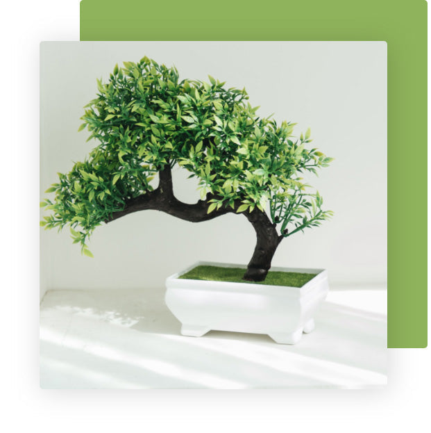 We offer a wide range of colors, shapes, and sizes at affordable pricing for any bonsai hobbyist.