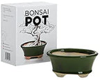 Complete Bonsai Set | GREEN - Soil, Fertilizer, Green Pot and Wire Kit