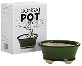 Complete Bonsai Set | GREEN - Soil, Fertilizer, Green Pot and Wire Kit