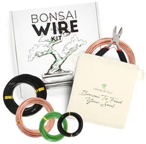 Leaves and Soul Tree Training Wire Kit