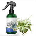 Professional Air Plant Fertilizer Spray